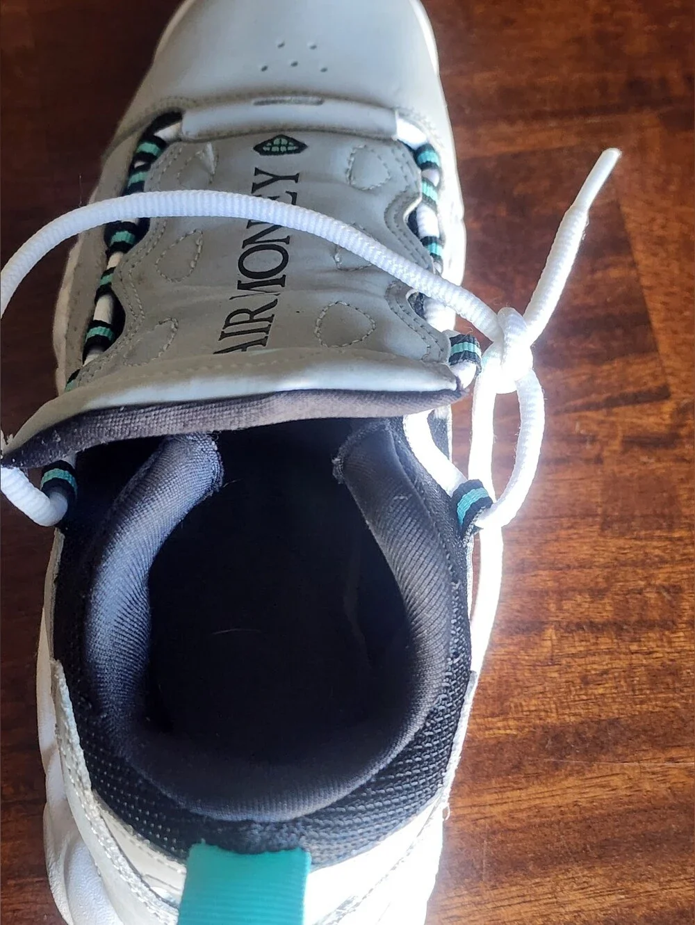 Nike Air More Money Wolf Grey Island Green GS AH5215-002 - Nike Size 6.5 Y